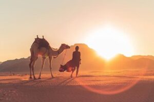 Sunset or Sunrise Camel Ride